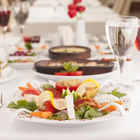 Motali Life Masukiye