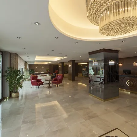 Motali Life Masukiye